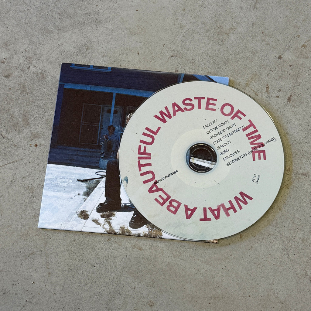 what a beautiful waste of time cd